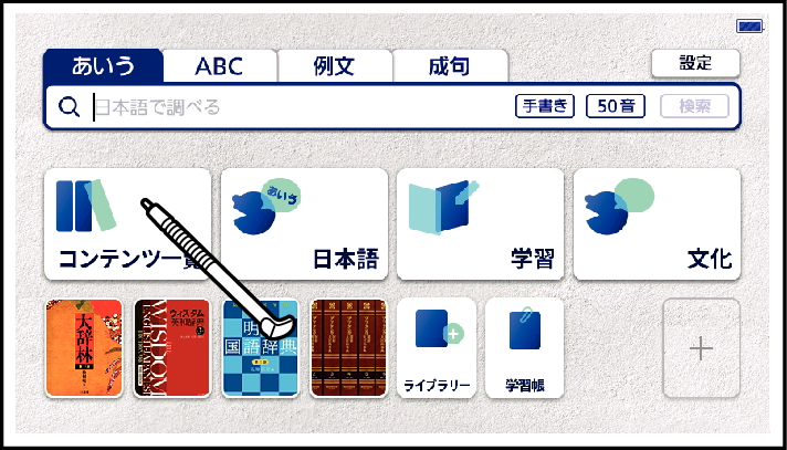 See_The_Basic_Usage_001 JP10